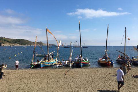 Plage de Paulilles