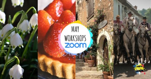 Zoom workshops - May