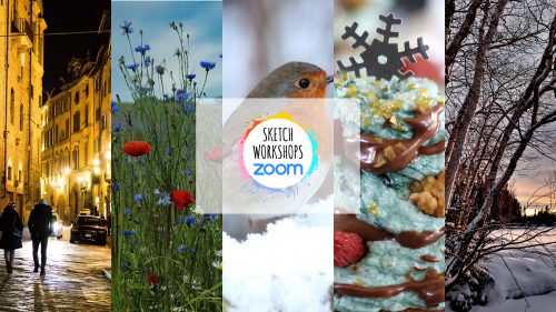Zoom workshops - November