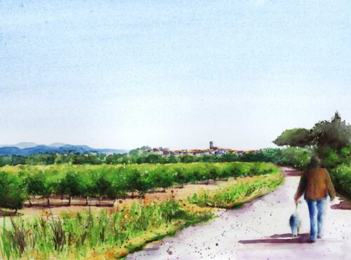 Balade au bord des vignes Azillois