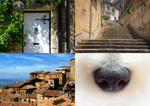 Zoom workshops - February