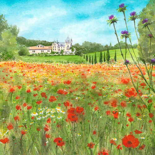 Carrasses au Printemps