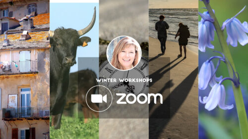 Zoom workshops - February-April 2023