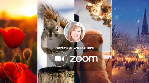 Zoom workshops - November 2023
