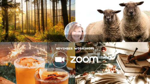 Zoom workshops - November 2024